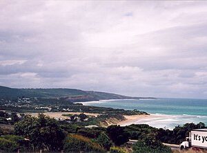 Anglesea to or from Melbourne Airport