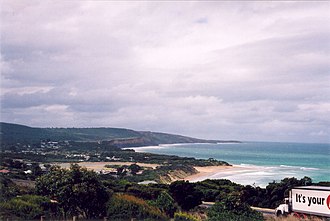 Anglesea to or from Melbourne Airport