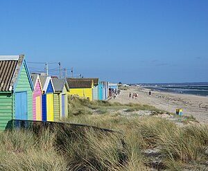 Aspendale to or from Melbourne Airport