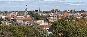 Ballarat to or from Melbourne Airport