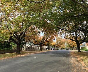 Balwyn to or from Melbourne Airport