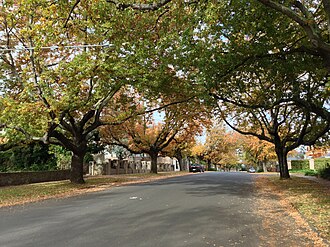 Balwyn to or from Melbourne Airport