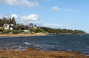 Beaumaris to or from Melbourne Airport