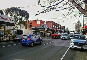 Bentleigh to or from Melbourne Airport