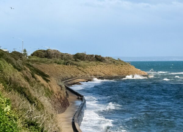 Blackrock to or from Melbourne Airport