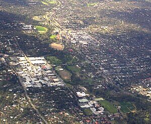 Eltham to or from Melbourne Airport