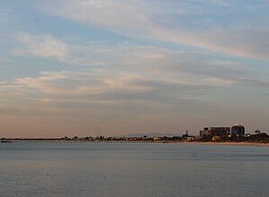 Frankston to or from Melbourne Airport