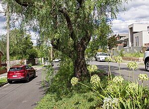 Kew to or from Melbourne Airport