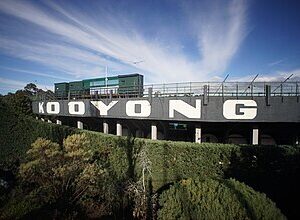Kooyong to or from Melbourne Airport