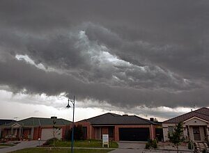 Narre Warren to or from Melbourne Airport