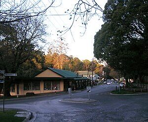 Olinda to or from Melbourne Airport