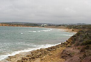 Torquay to or from Melbourne Airport