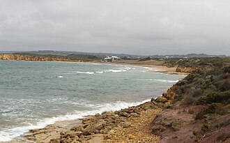 Torquay to or from Melbourne Airport